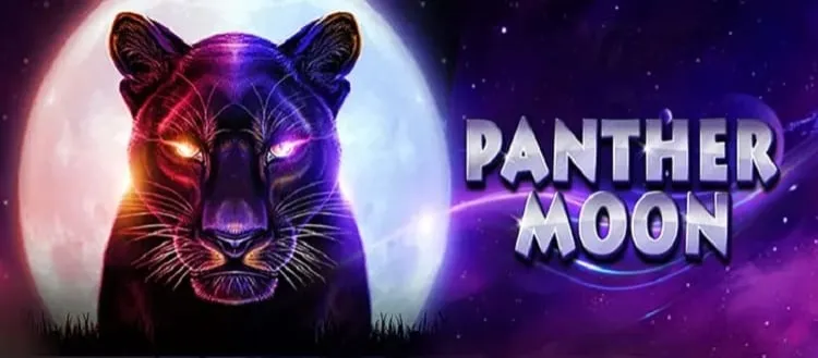 Panther Moon