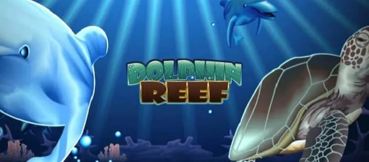 Dolphin Reef