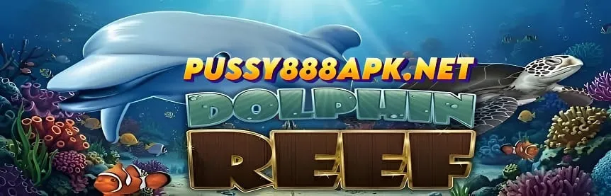 Dolphin Reef