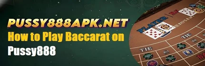 How to Play Baccarat on Pussy888